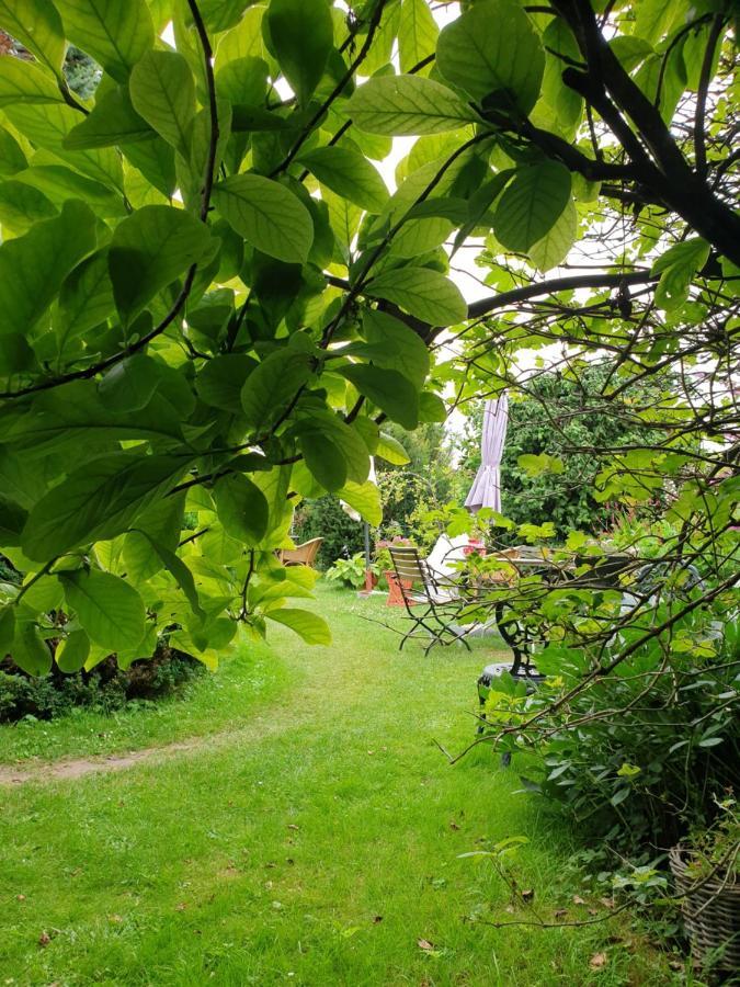 B&B Aan De Limes In Maurik Kültér fotó